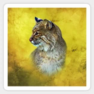 Bobcat Sticker